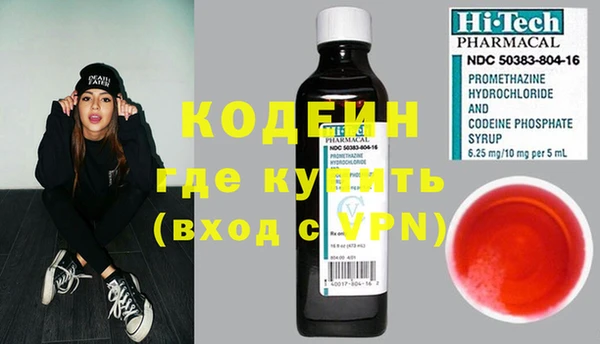 хмурый Нея