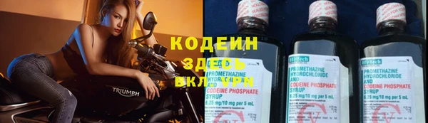 дживик Надым