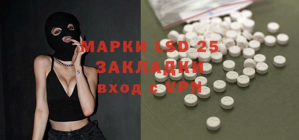 дживик Надым