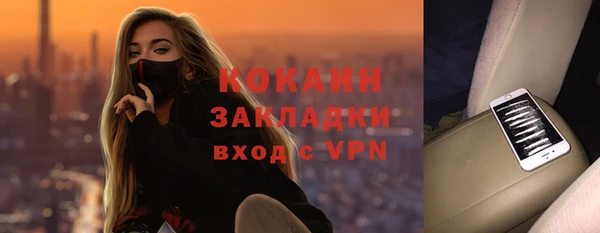 хмурый Нея