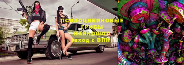 хмурый Нея
