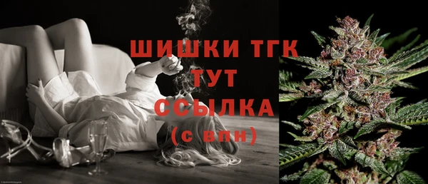 дживик Надым