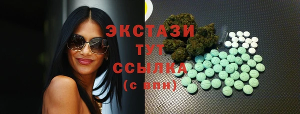 дживик Надым