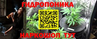 PSILOCYBIN Бузулук