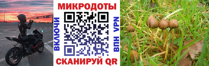 Галлюциногенные грибы Cubensis  Мирный 