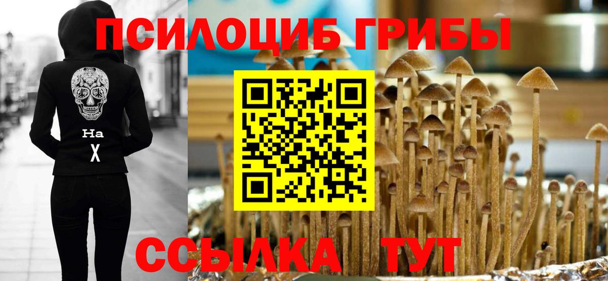 Псилоцибиновые грибы мицелий Мирный