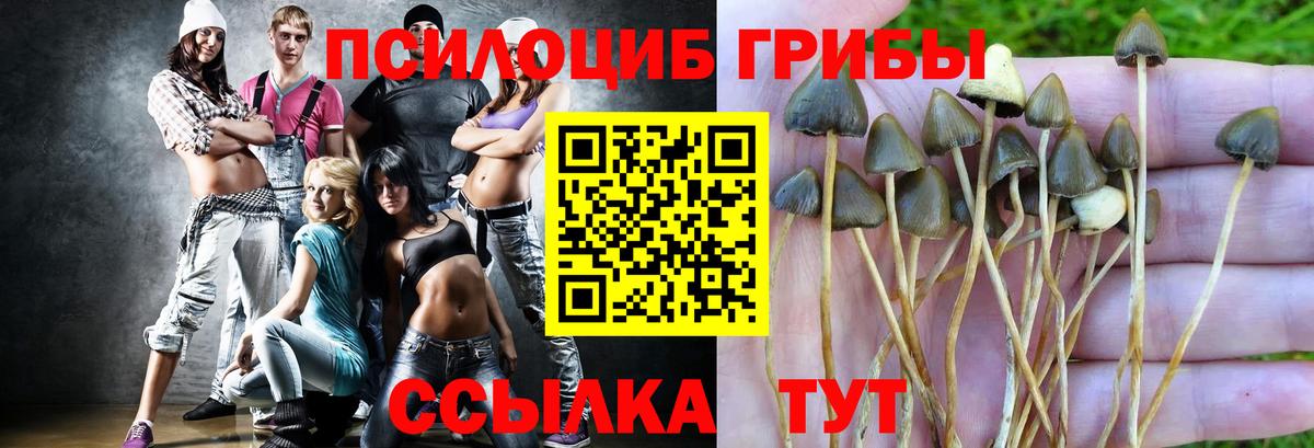 Псилоцибиновые грибы мицелий Мирный