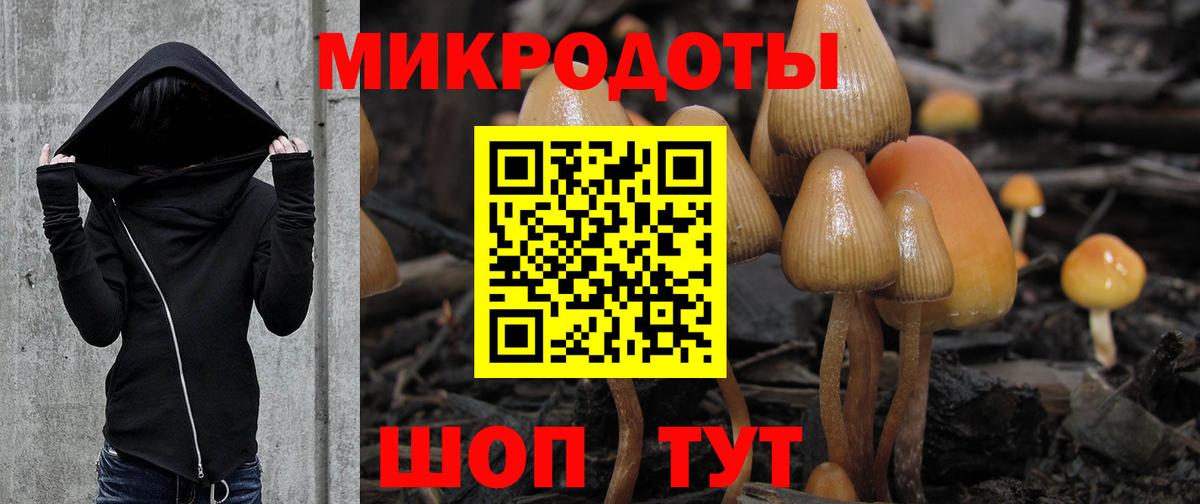 Мирный  Галлюциногенные грибы Psilocybine cubensis  Галлюциногенные грибы прущие грибы  сколько стоит  Вход с VPN 